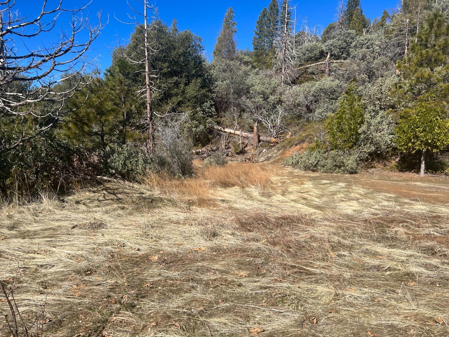 6225 Old Mill Rd, Mariposa, CA 95338