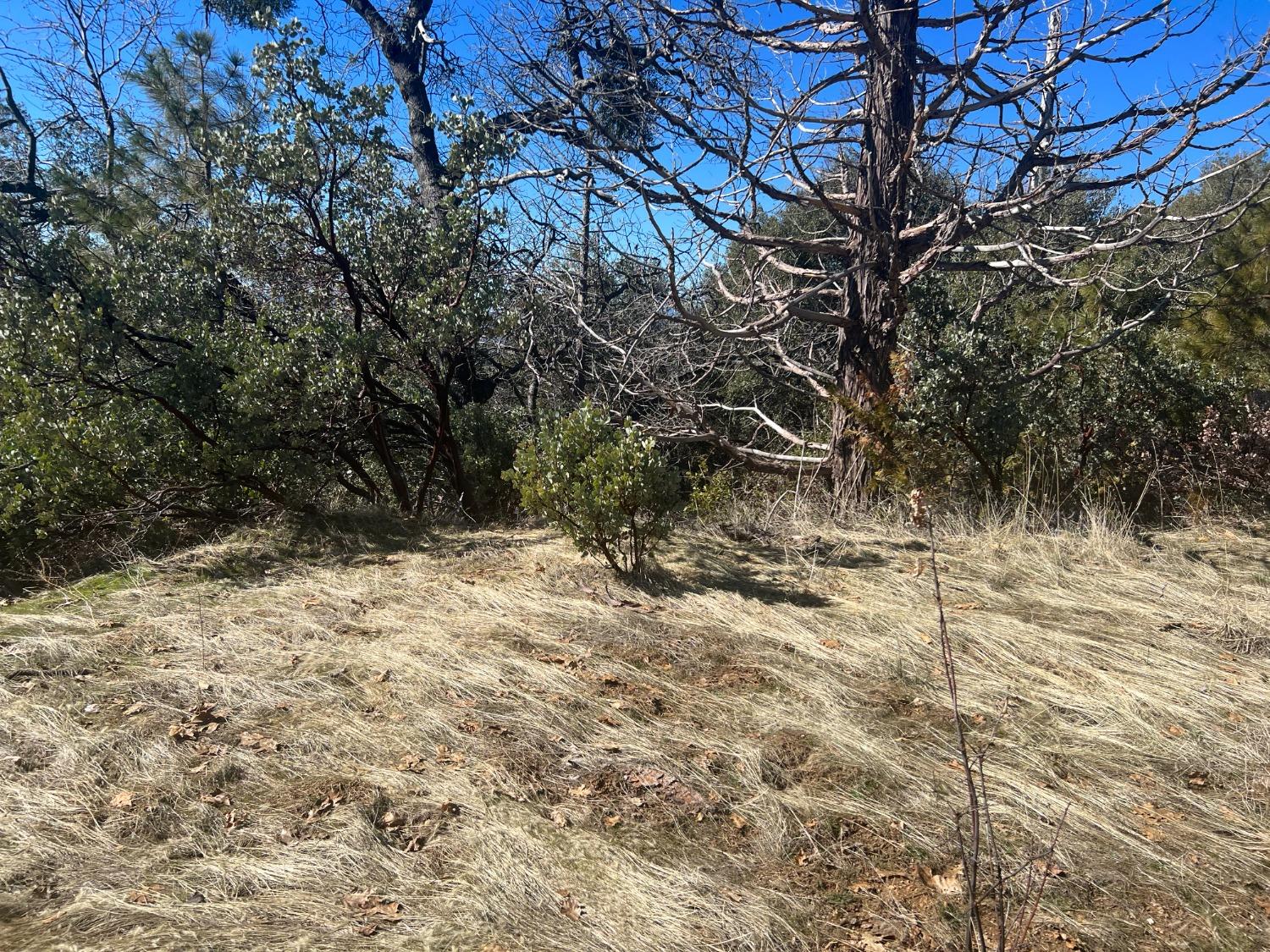 6225 Old Mill Rd, Mariposa, CA 95338