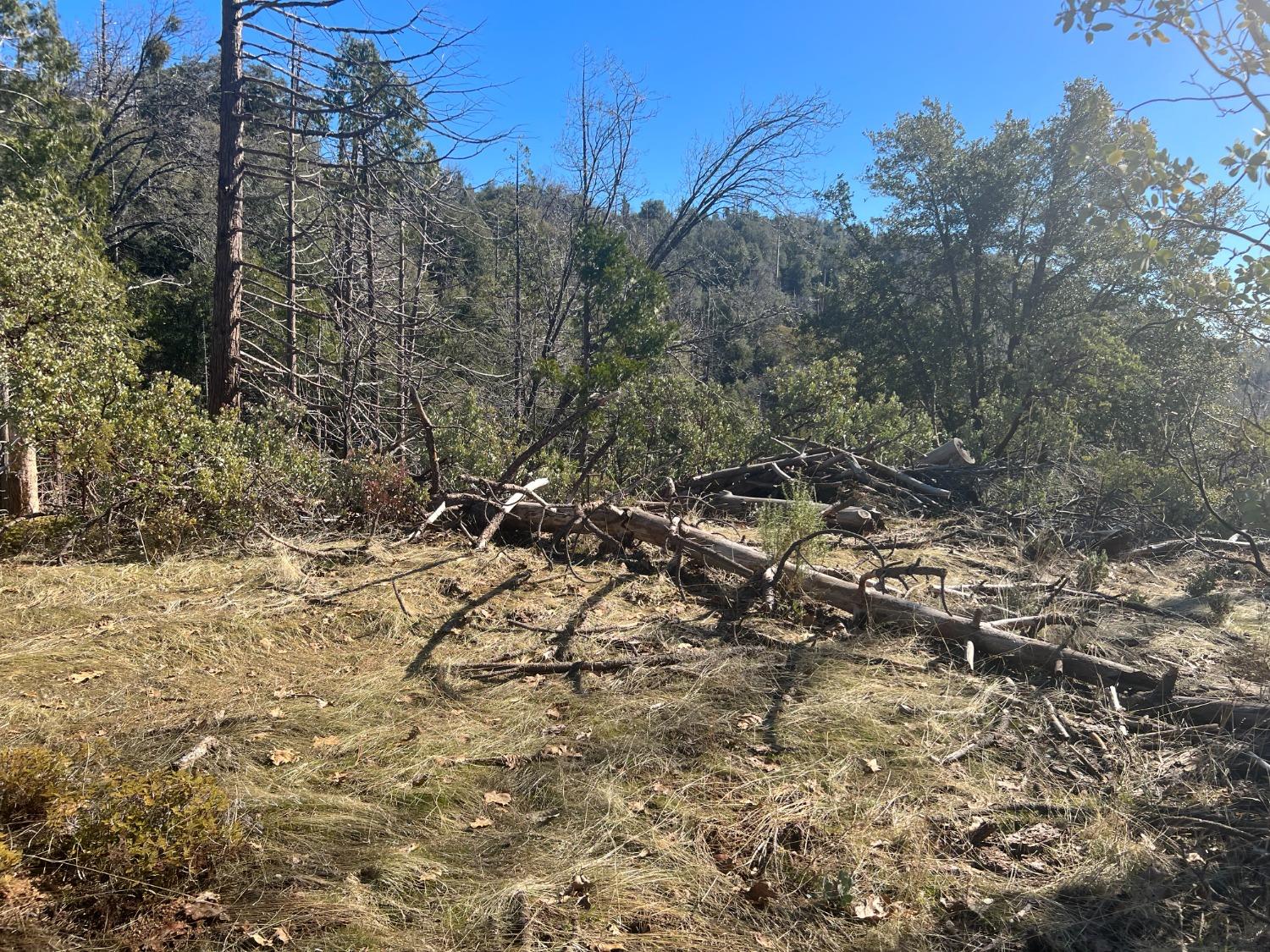 6225 Old Mill Rd, Mariposa, CA 95338