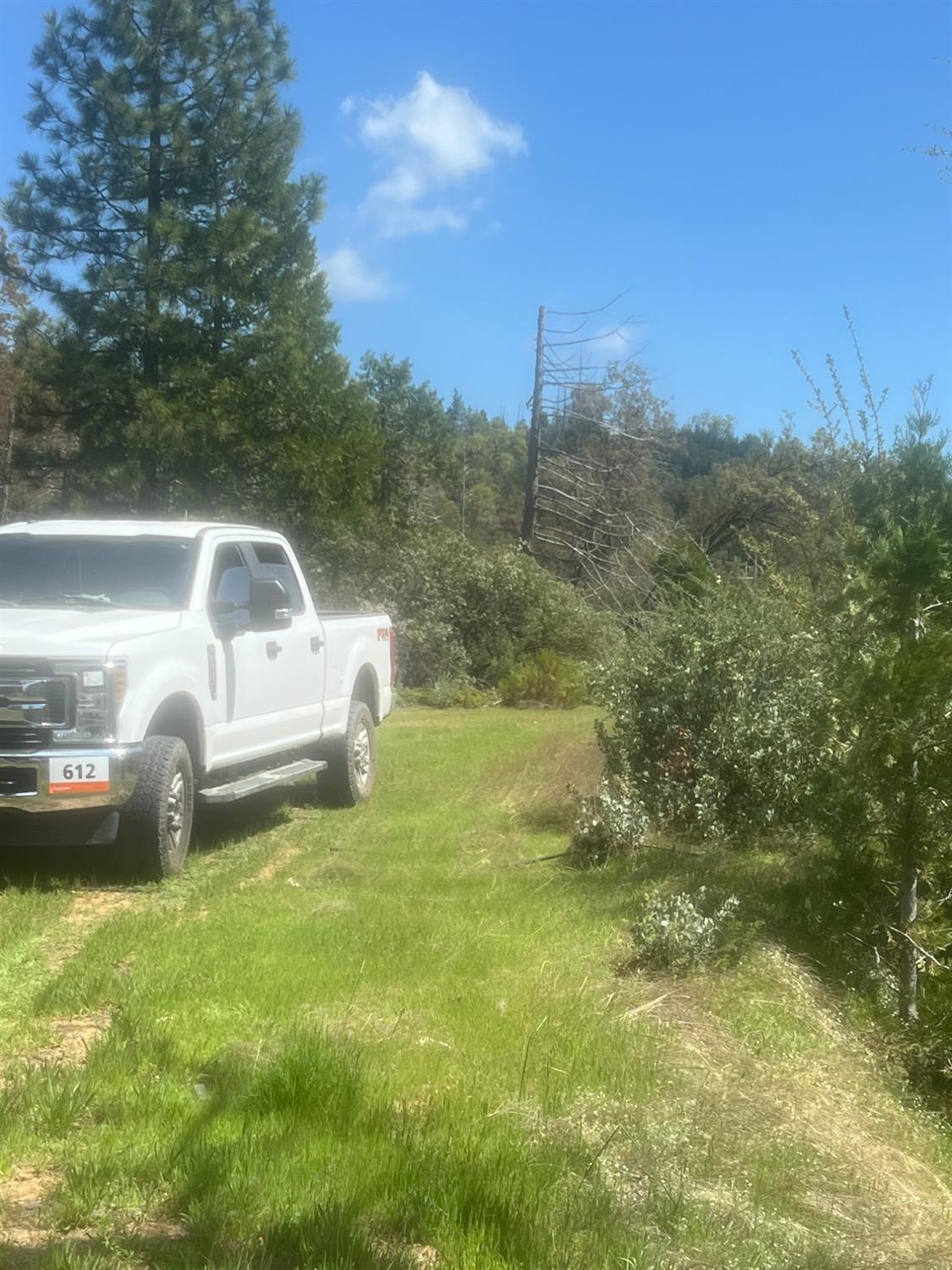 6225 Old Mill Rd, Mariposa, CA 95338