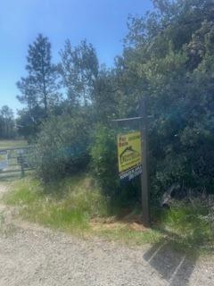 6225 Old Mill Rd, Mariposa, CA 95338