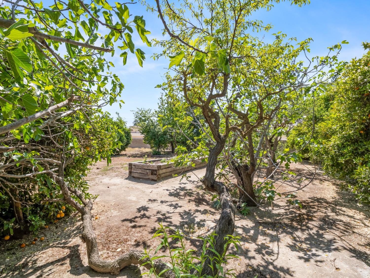 2414 Country Club Ln, Selma, CA 93662