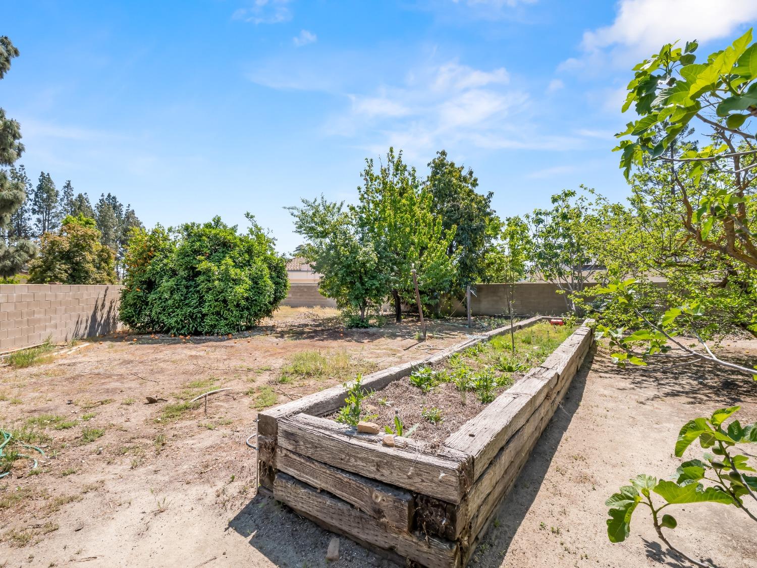 2414 Country Club Ln, Selma, CA 93662