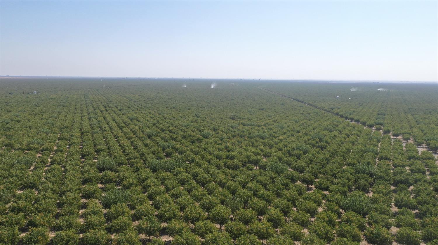 0 0000 Highway 43, Delano, CA 93219