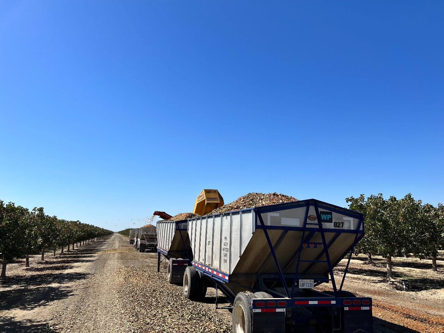 0 0000 Highway 43, Delano, CA 93219