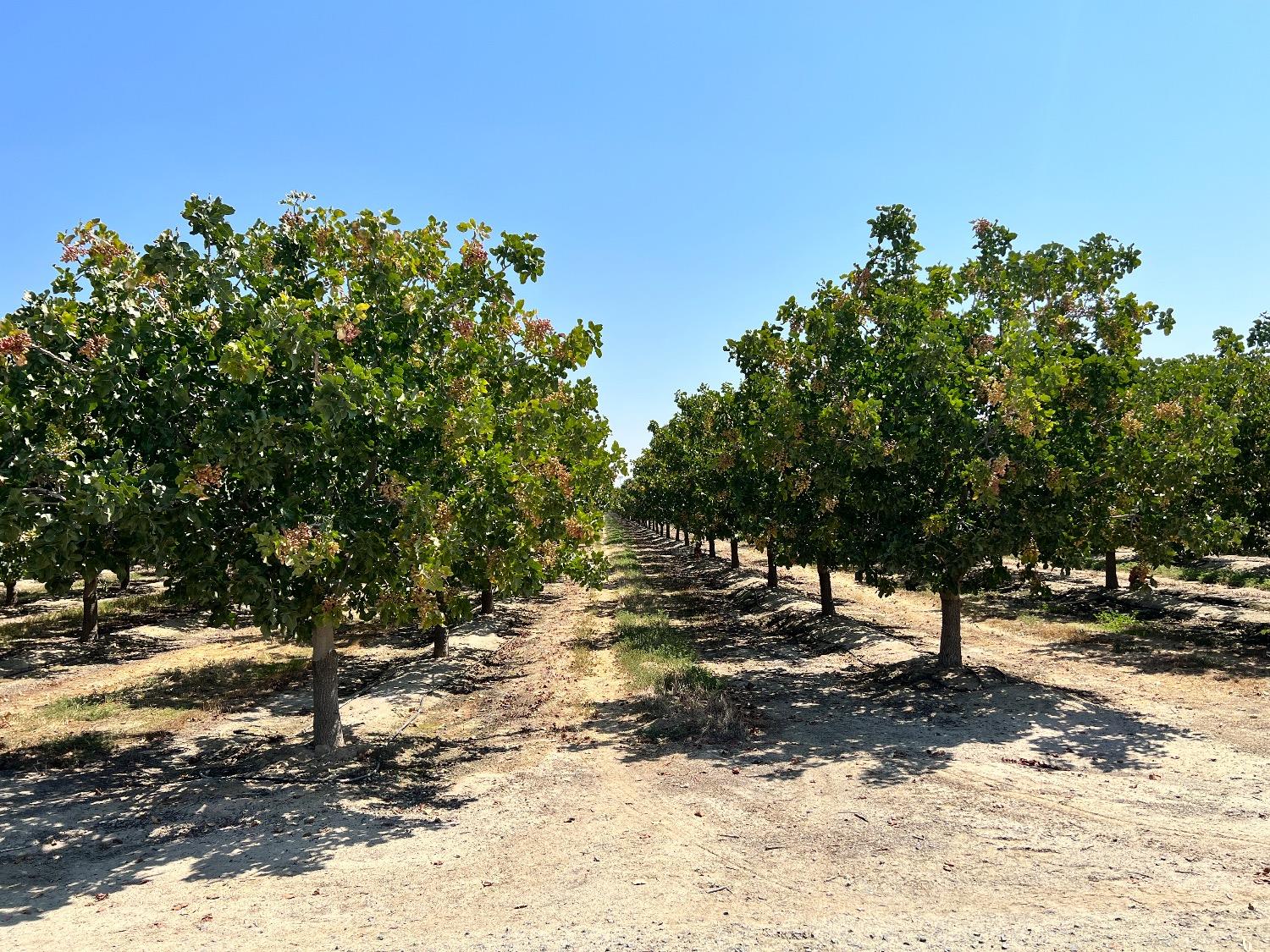 0 0000 Highway 43, Delano, CA 93219