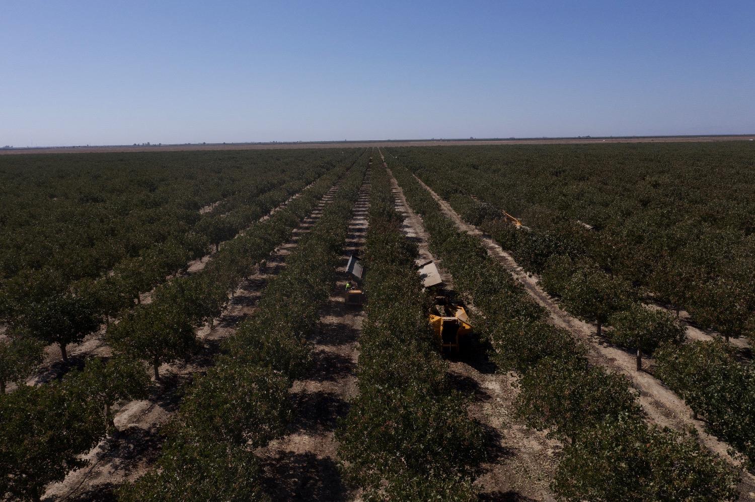 0 0000 Highway 43, Delano, CA 93219