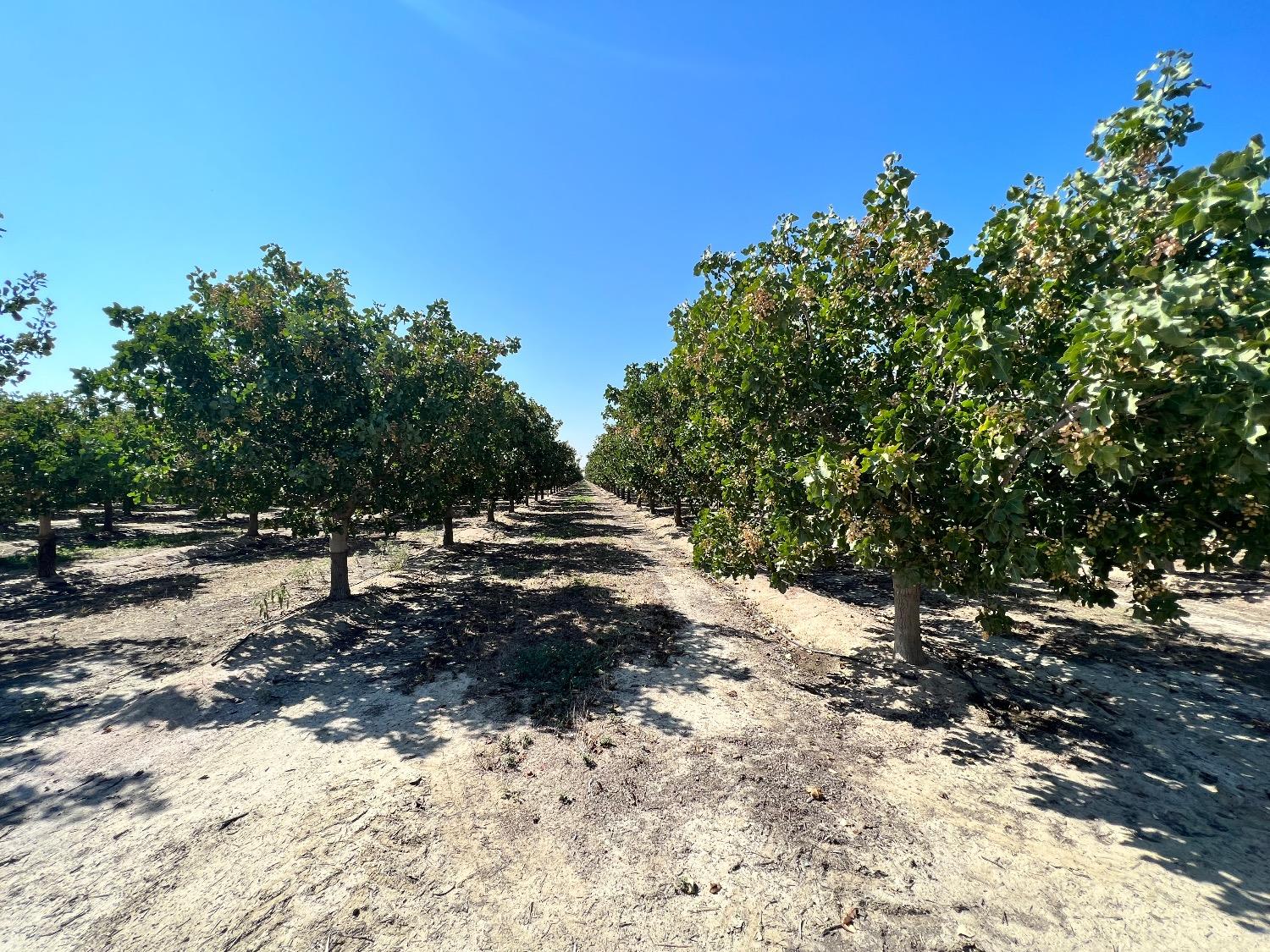 0 0000 Highway 43, Delano, CA 93219