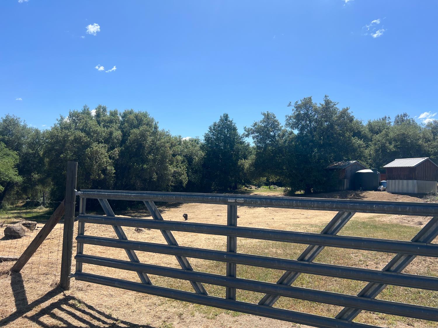 33477 Cottontail, Auberry, CA 93602