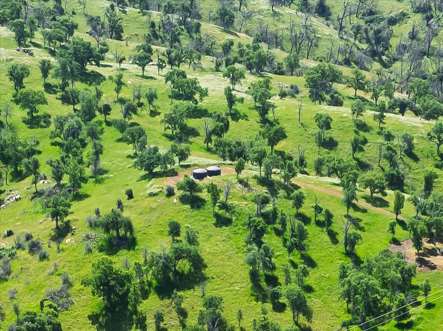 39603 Road 810, Raymond, CA 93653