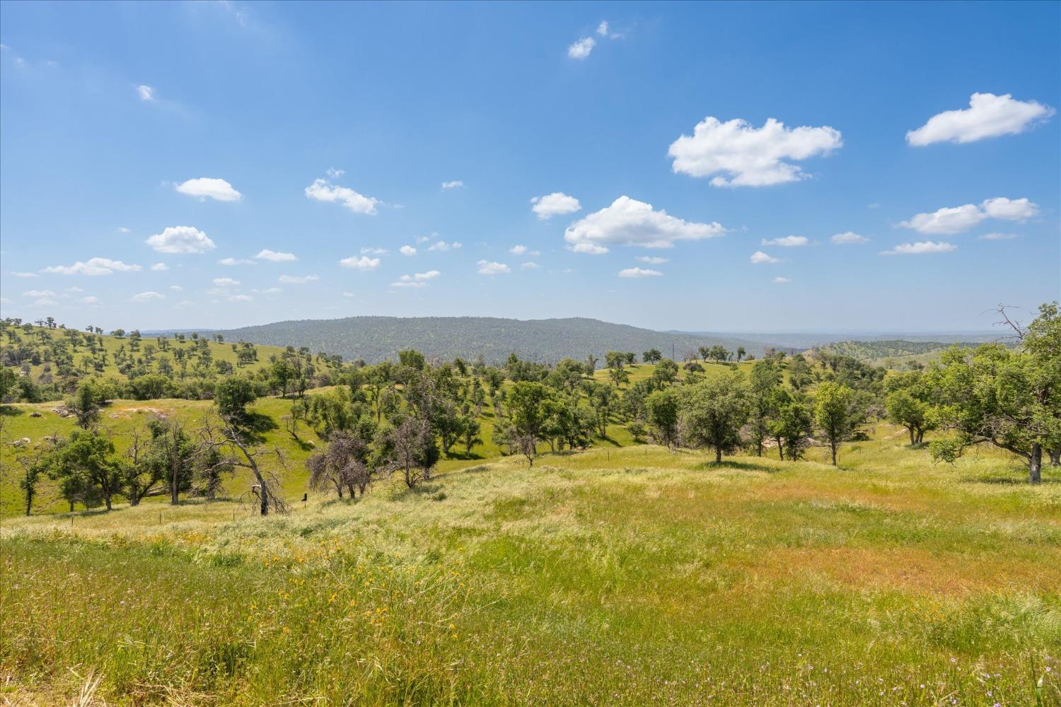 39603 Road 810, Raymond, CA 93653