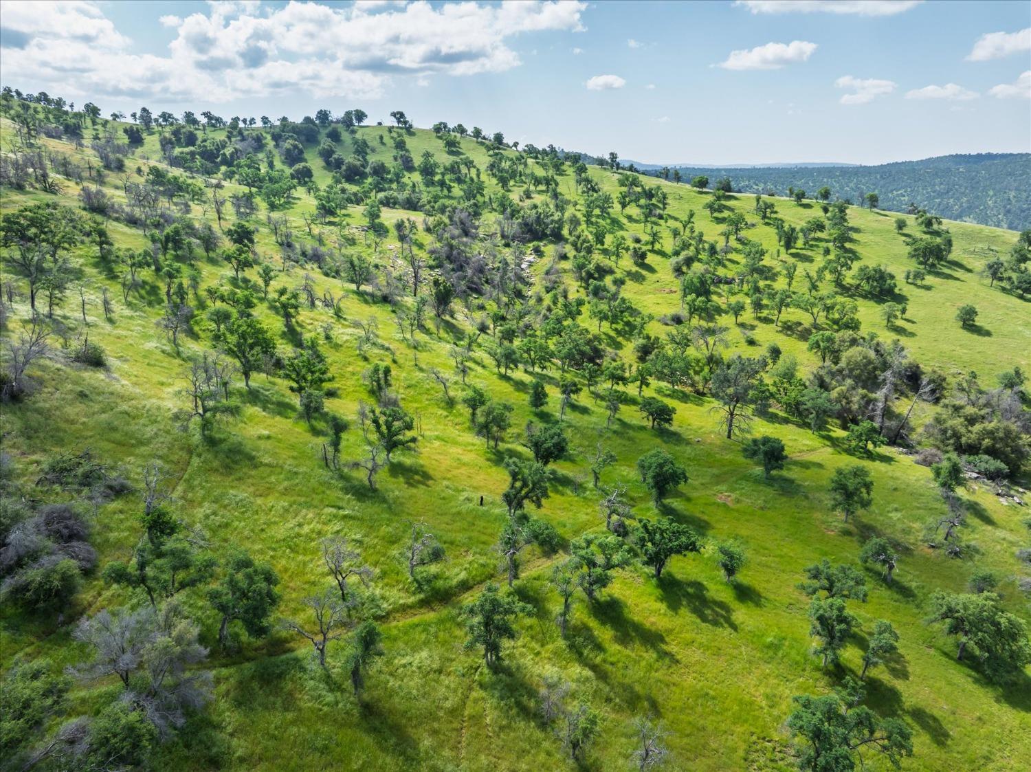 39603 Road 810, Raymond, CA 93653