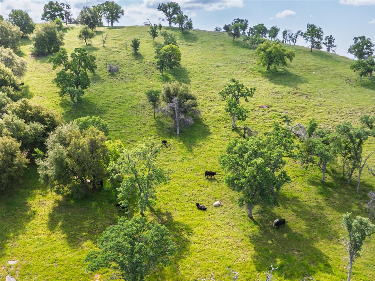 39603 Road 810, Raymond, CA 93653