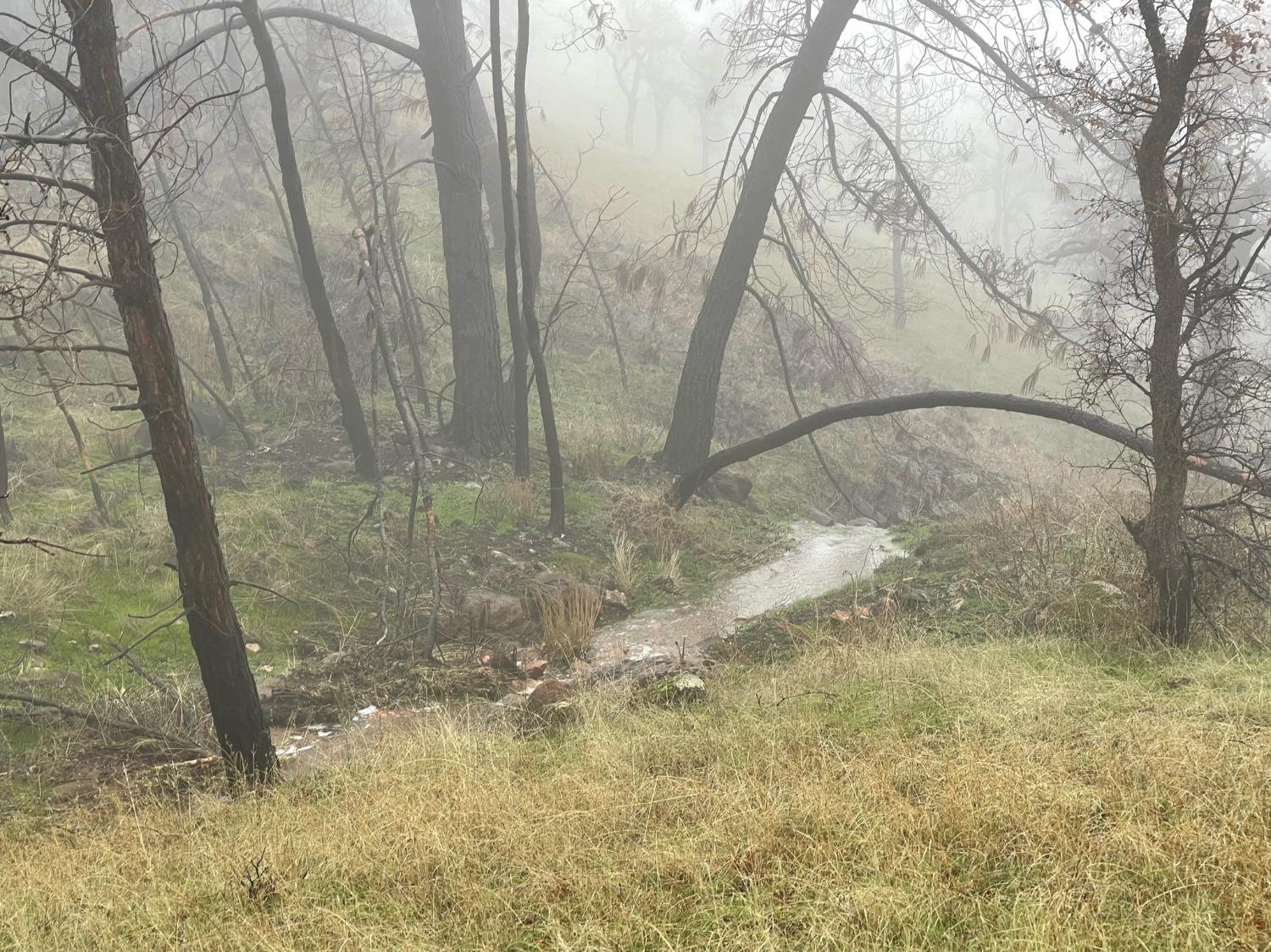 39603 Road 810, Raymond, CA 93653