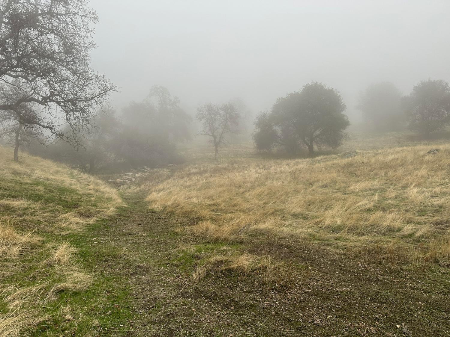 39603 Road 810, Raymond, CA 93653