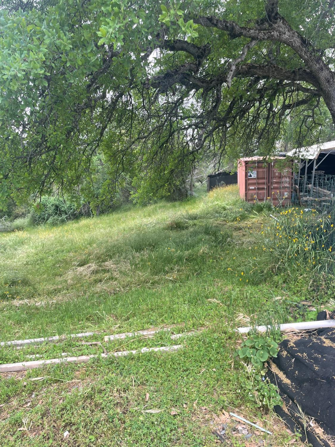 46304 Skyline Ridge Rd, Coarsegold, CA 93614