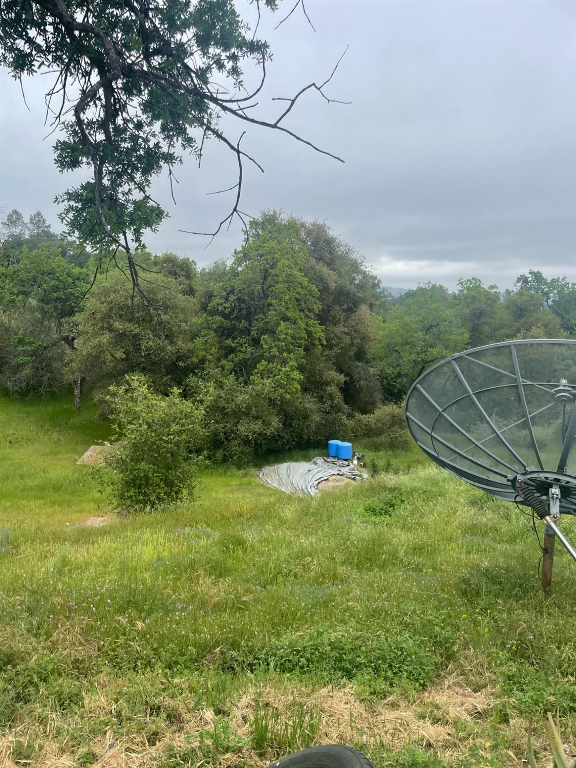 46304 Skyline Ridge Rd, Coarsegold, CA 93614