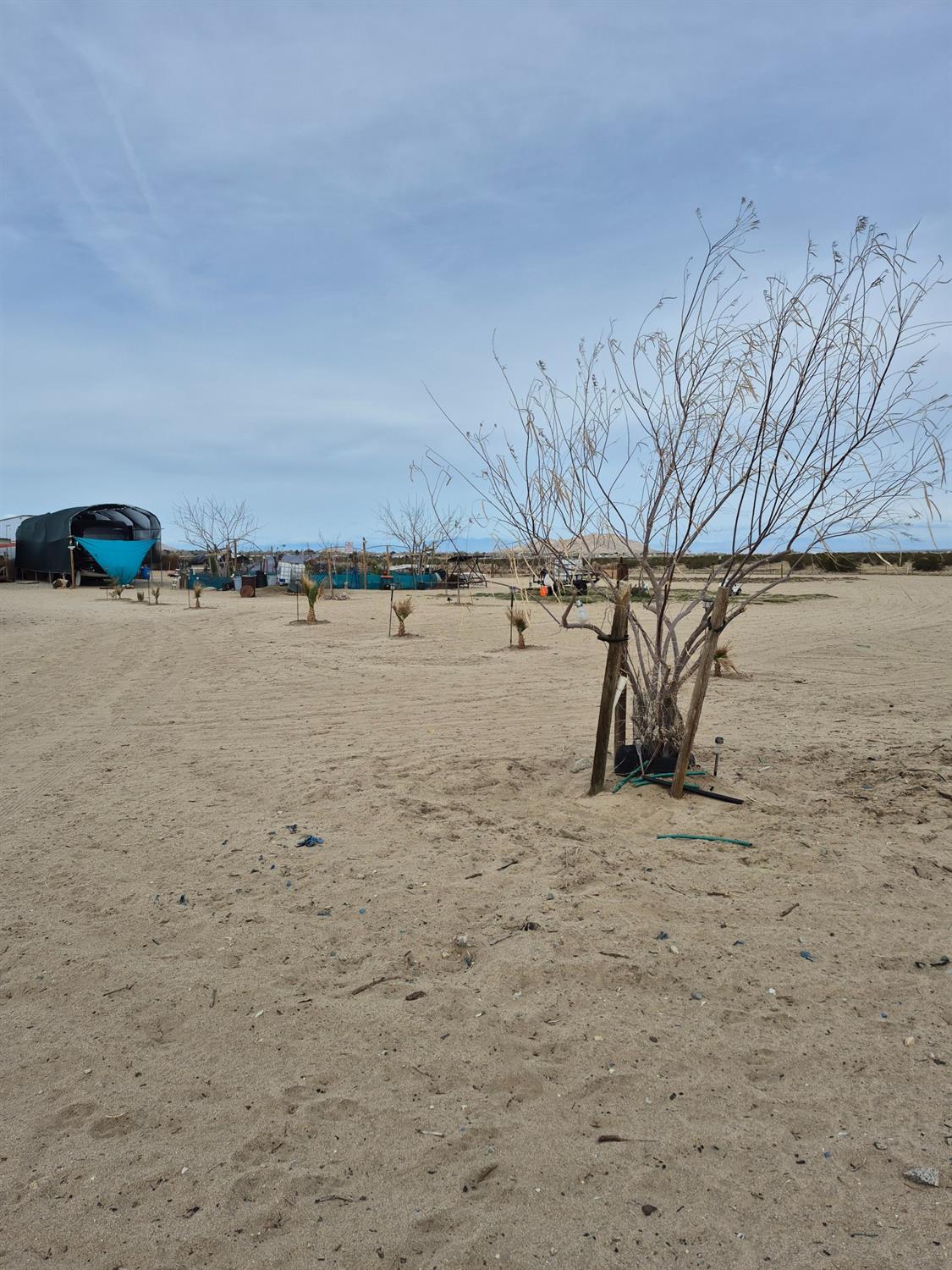 190 Avenue 08, Palmdale, CA 93591