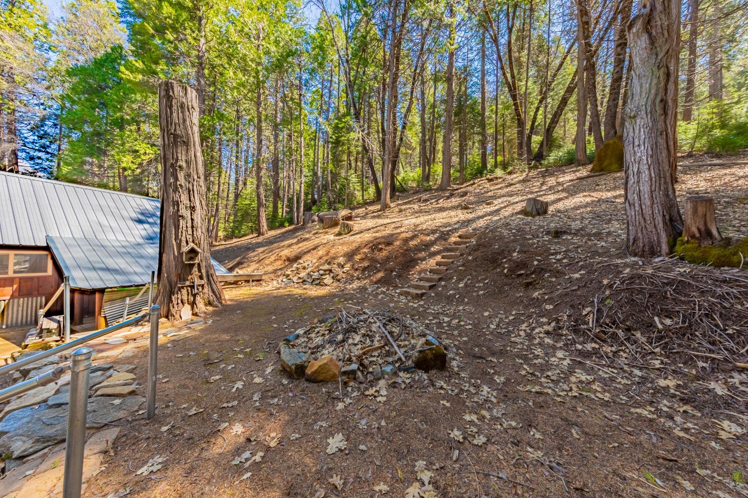 50054 Poplar Rd, Oakhurst, CA 93644
