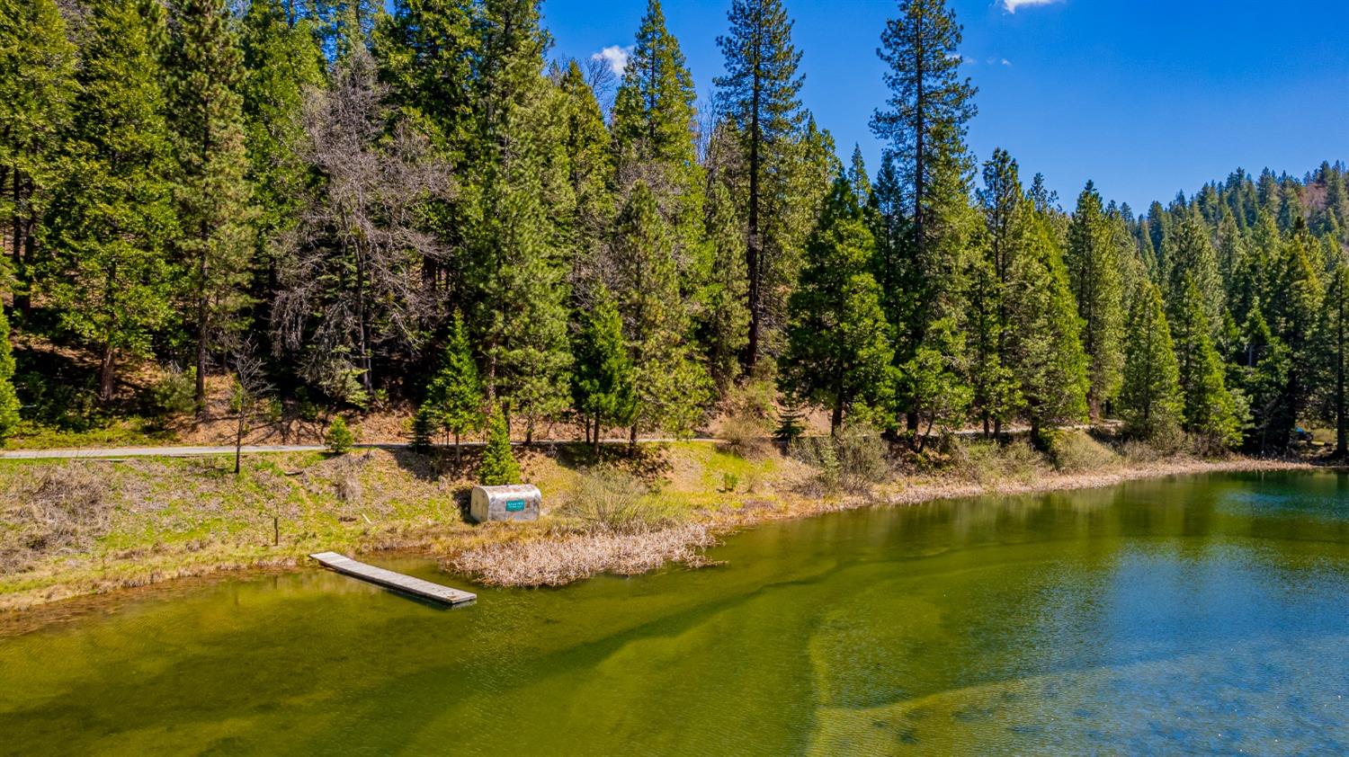 50054 Poplar Rd, Oakhurst, CA 93644