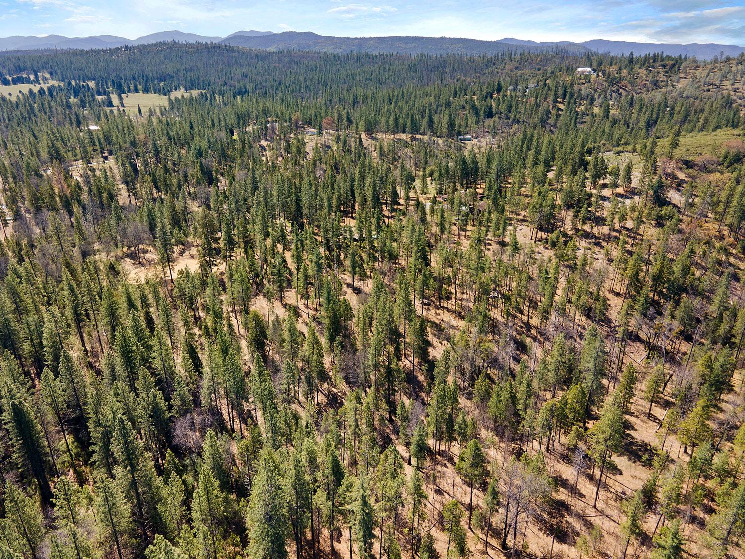 10415 McMahon Rd, Coulterville, CA 95311