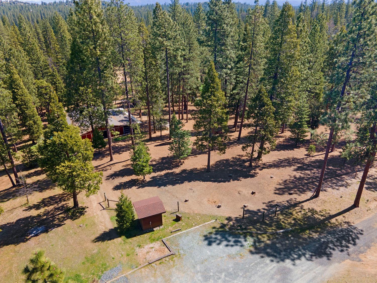 10415 McMahon Rd, Coulterville, CA 95311