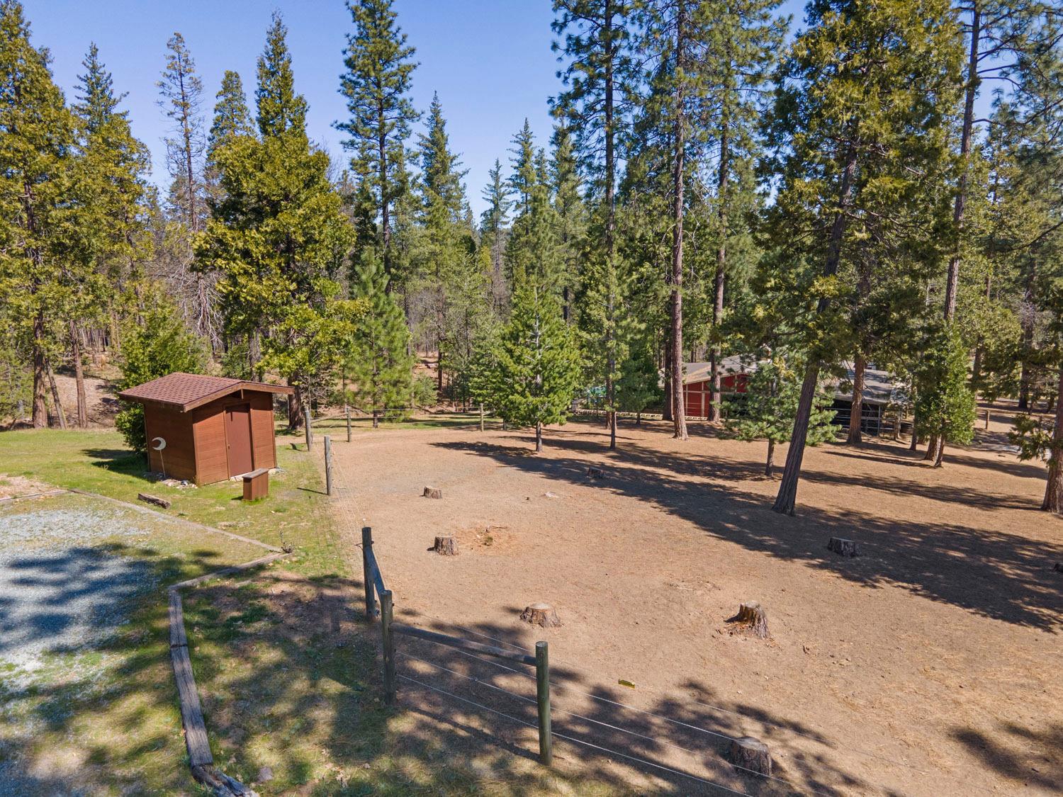 10415 McMahon Rd, Coulterville, CA 95311