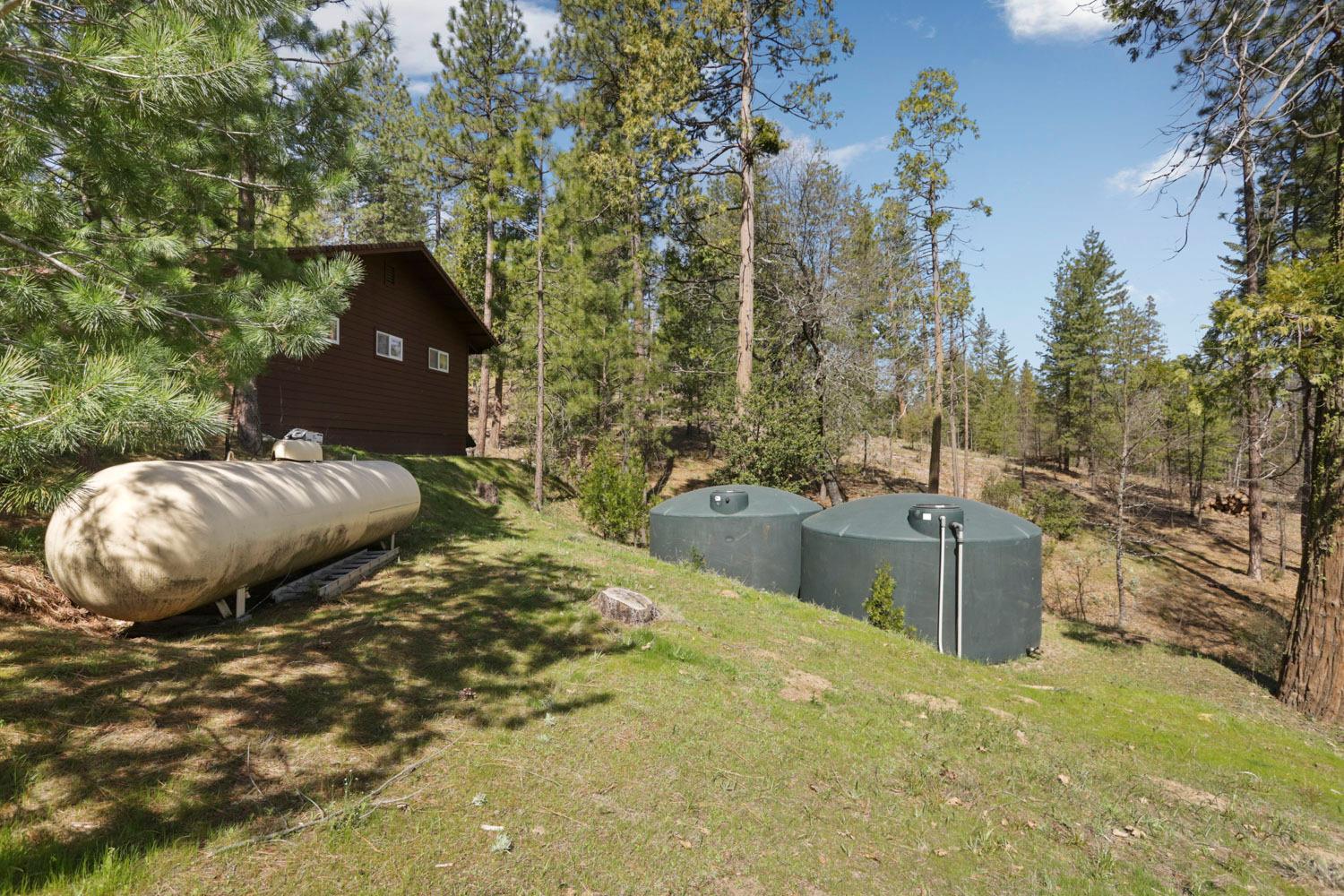 10415 McMahon Rd, Coulterville, CA 95311