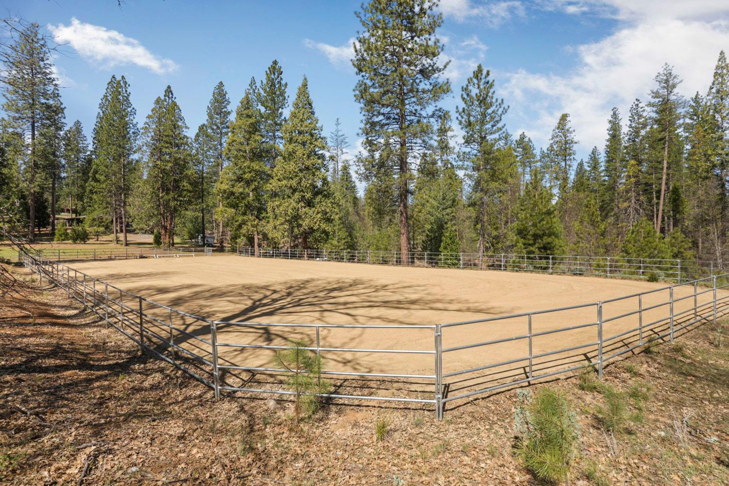 10415 McMahon Rd, Coulterville, CA 95311