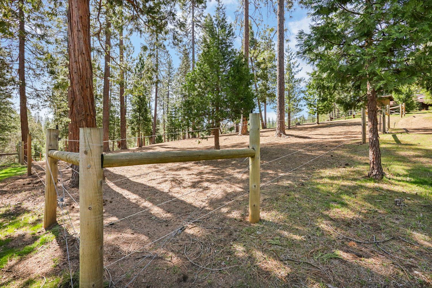 10415 McMahon Rd, Coulterville, CA 95311
