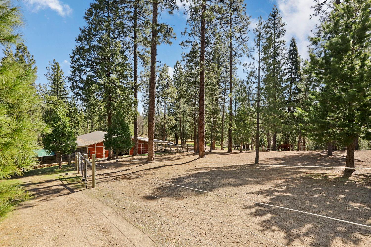10415 McMahon Rd, Coulterville, CA 95311