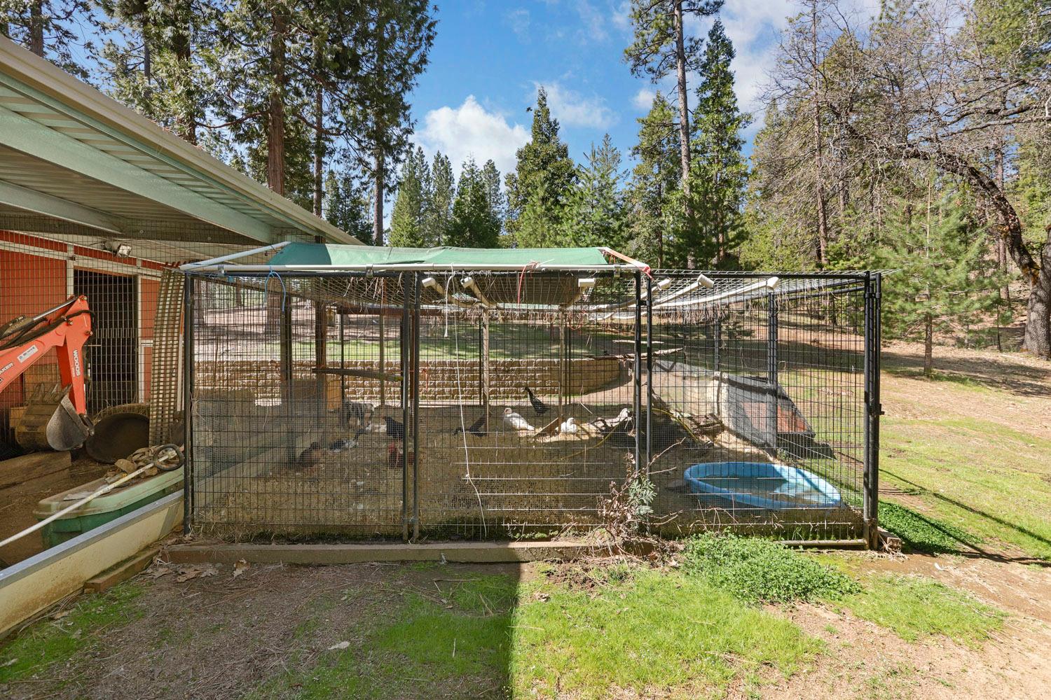 10415 McMahon Rd, Coulterville, CA 95311