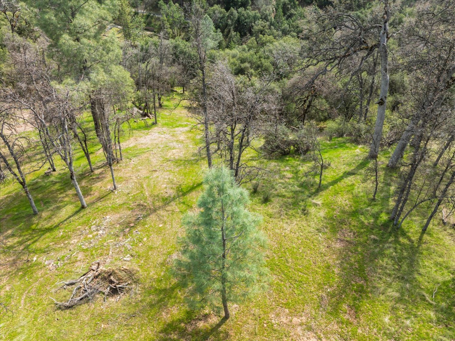 1 Springwood Ct, Oakhurst, CA 93644