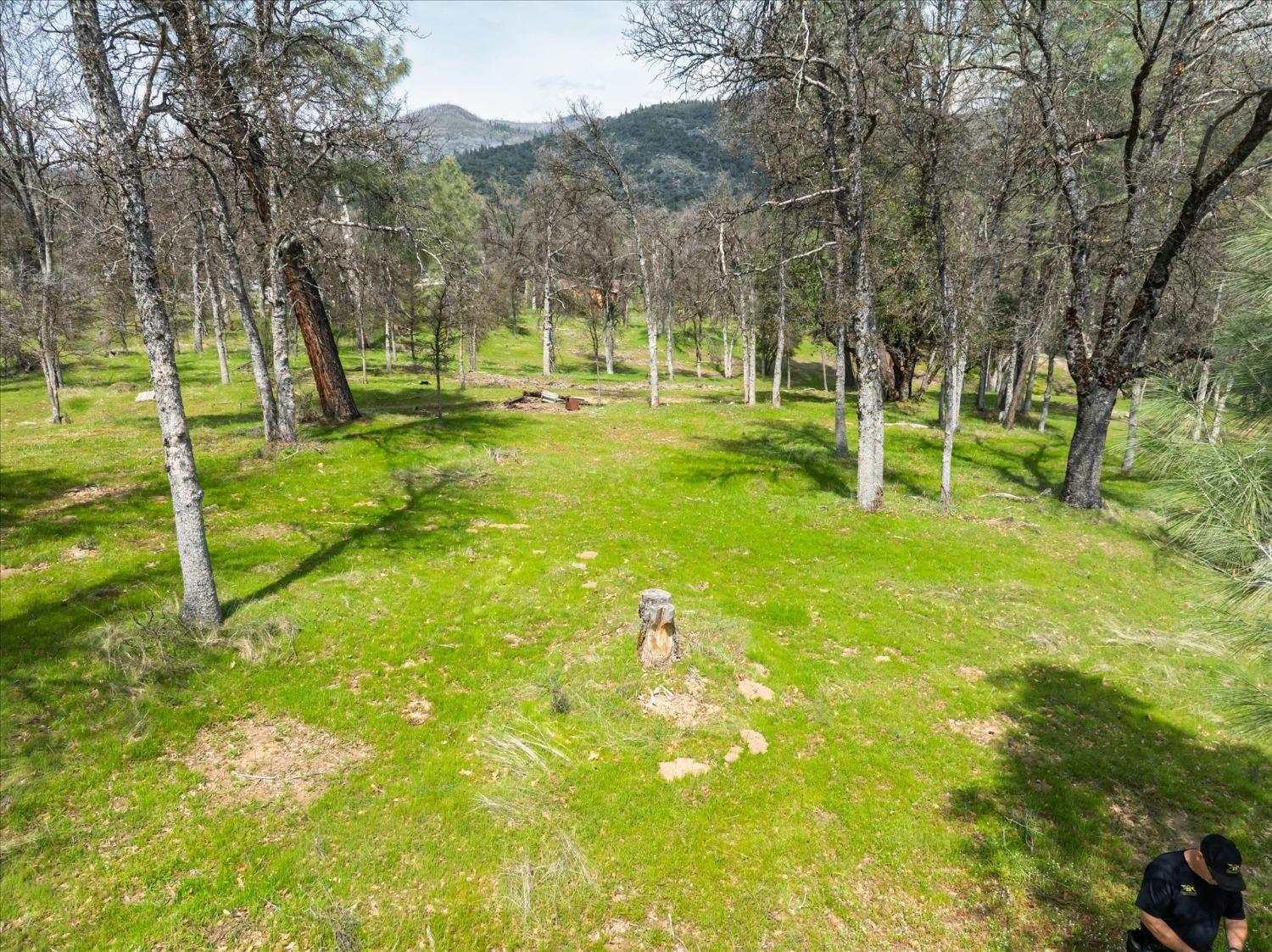 1 Springwood Ct, Oakhurst, CA 93644