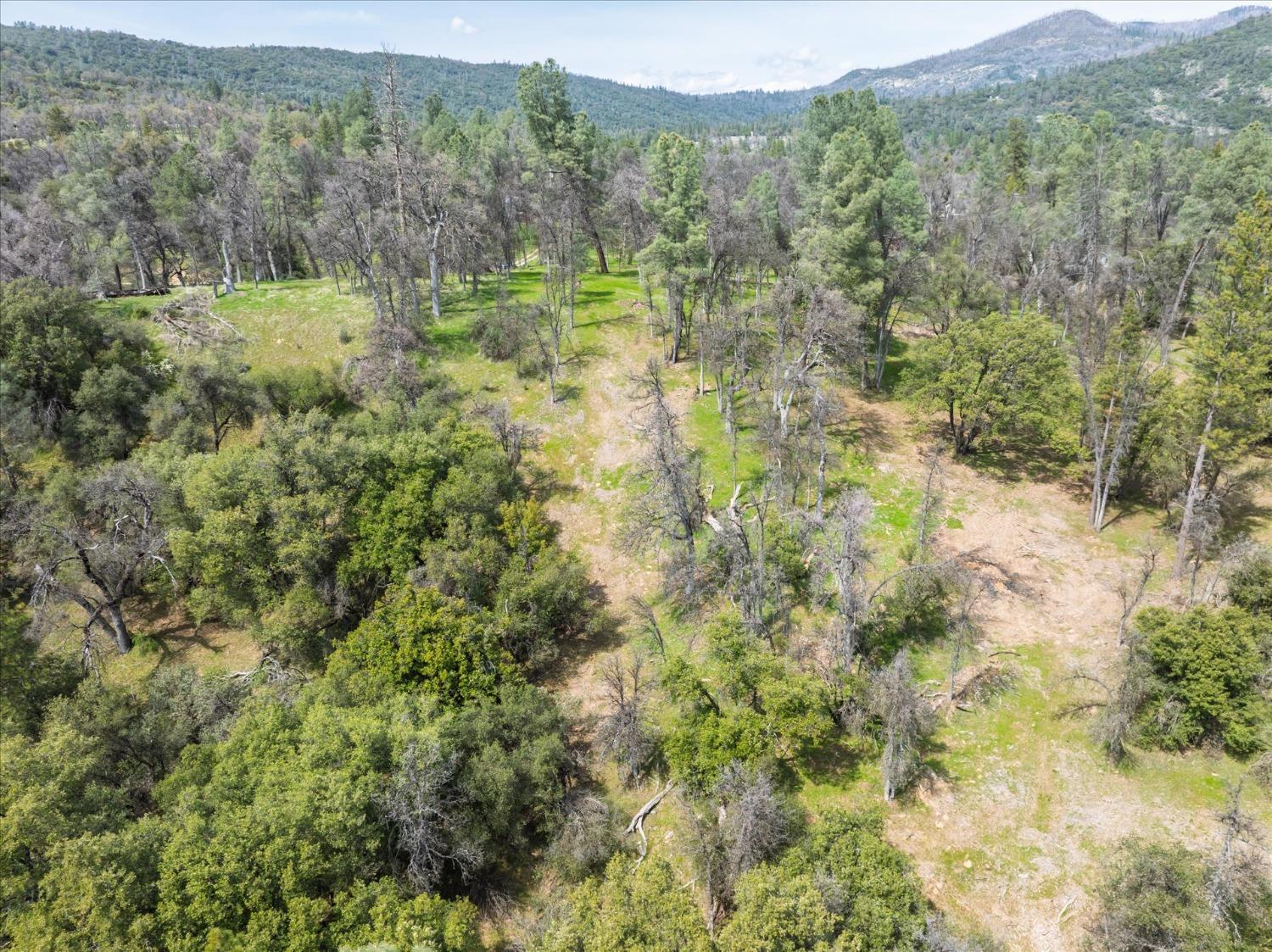 1 Springwood Ct, Oakhurst, CA 93644