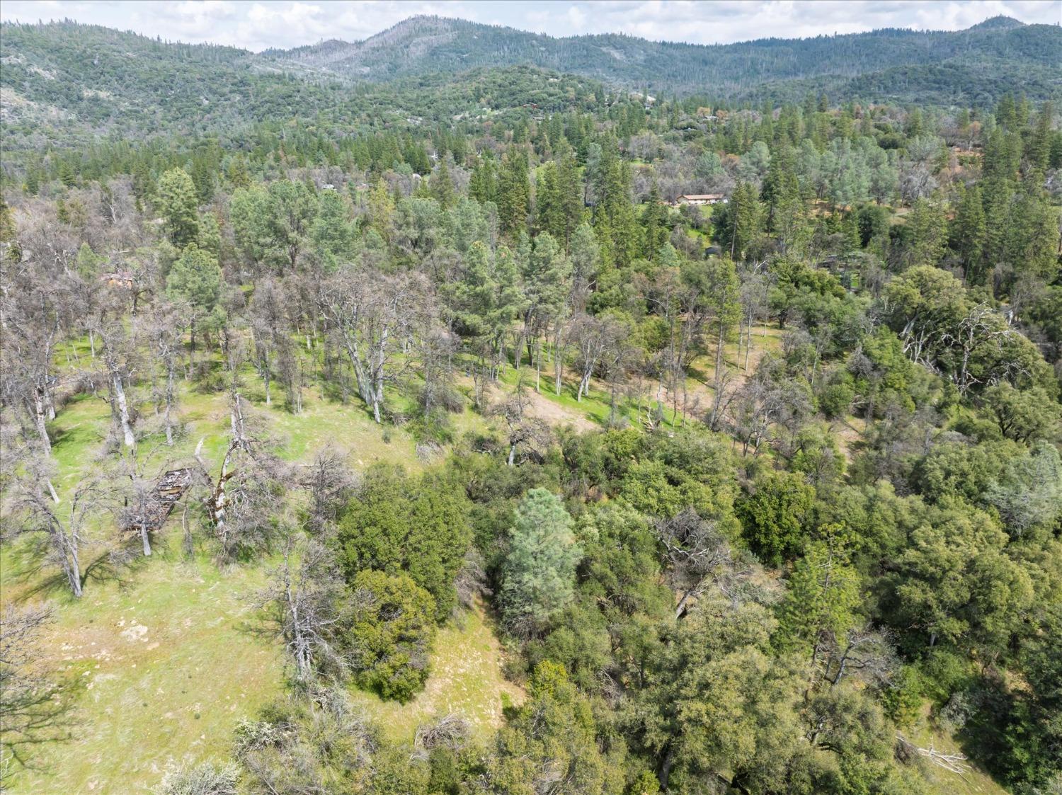 1 Springwood Ct, Oakhurst, CA 93644