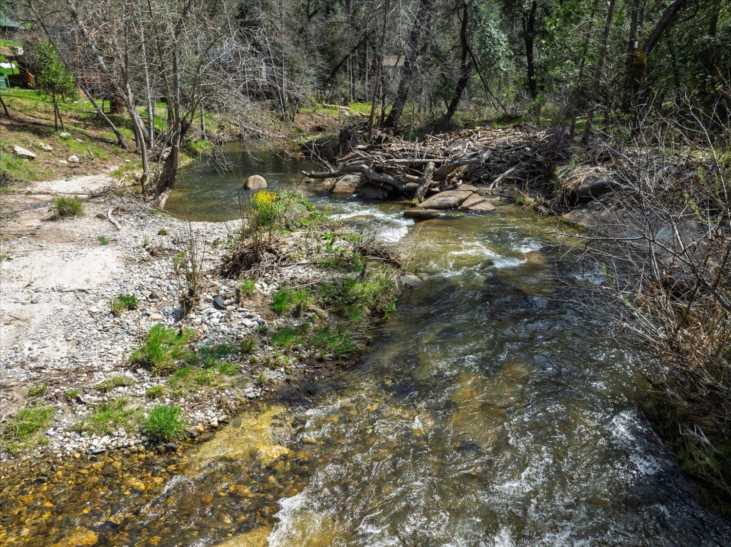 1 Springwood Ct, Oakhurst, CA 93644