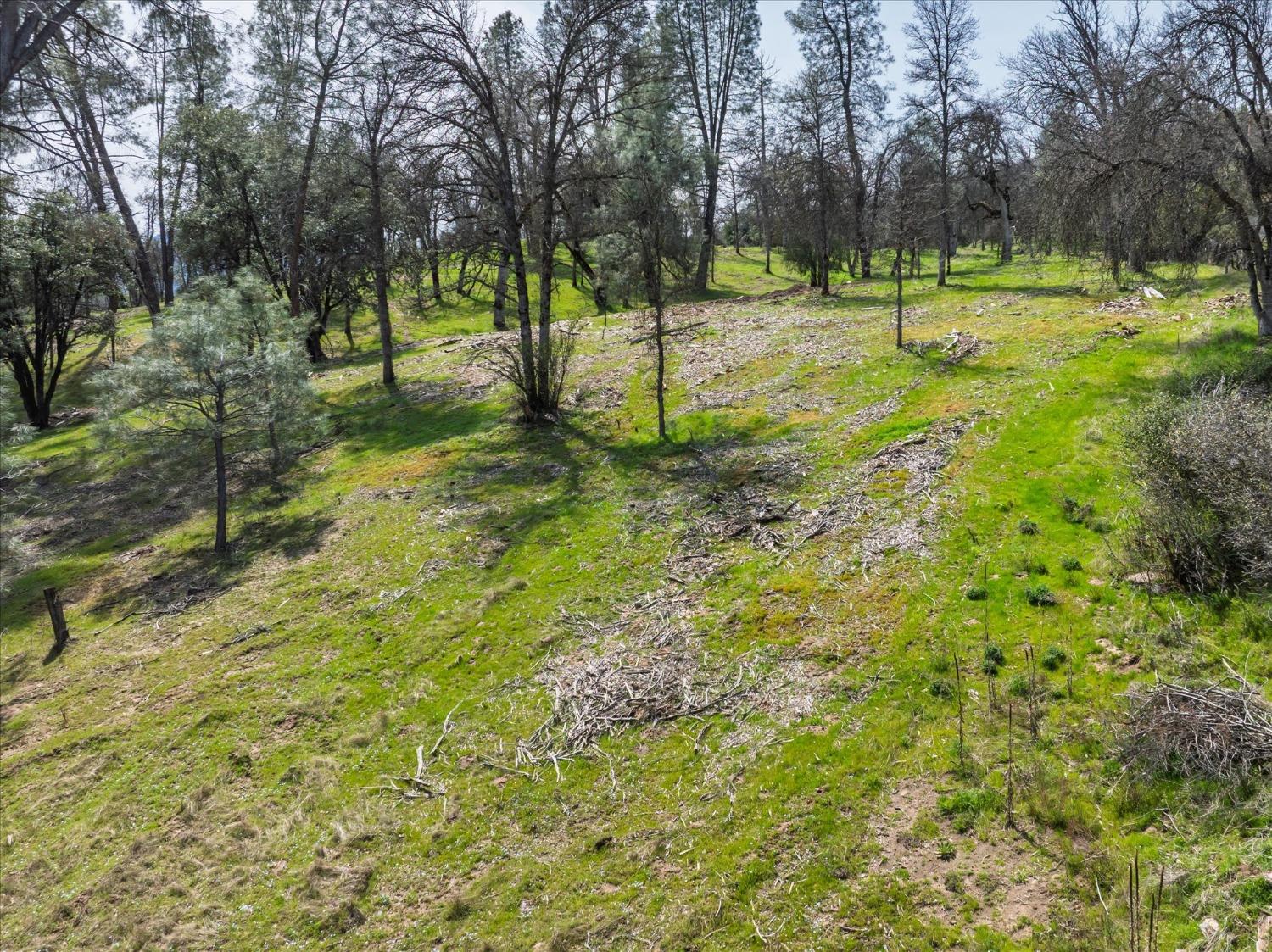 1 Springwood Ct, Oakhurst, CA 93644