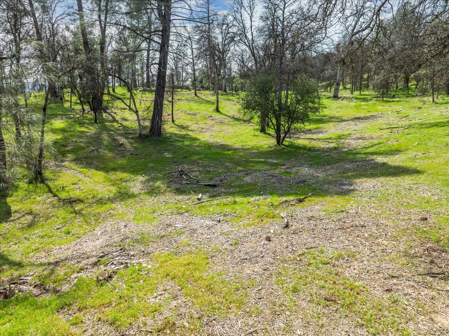 1 Springwood Ct, Oakhurst, CA 93644