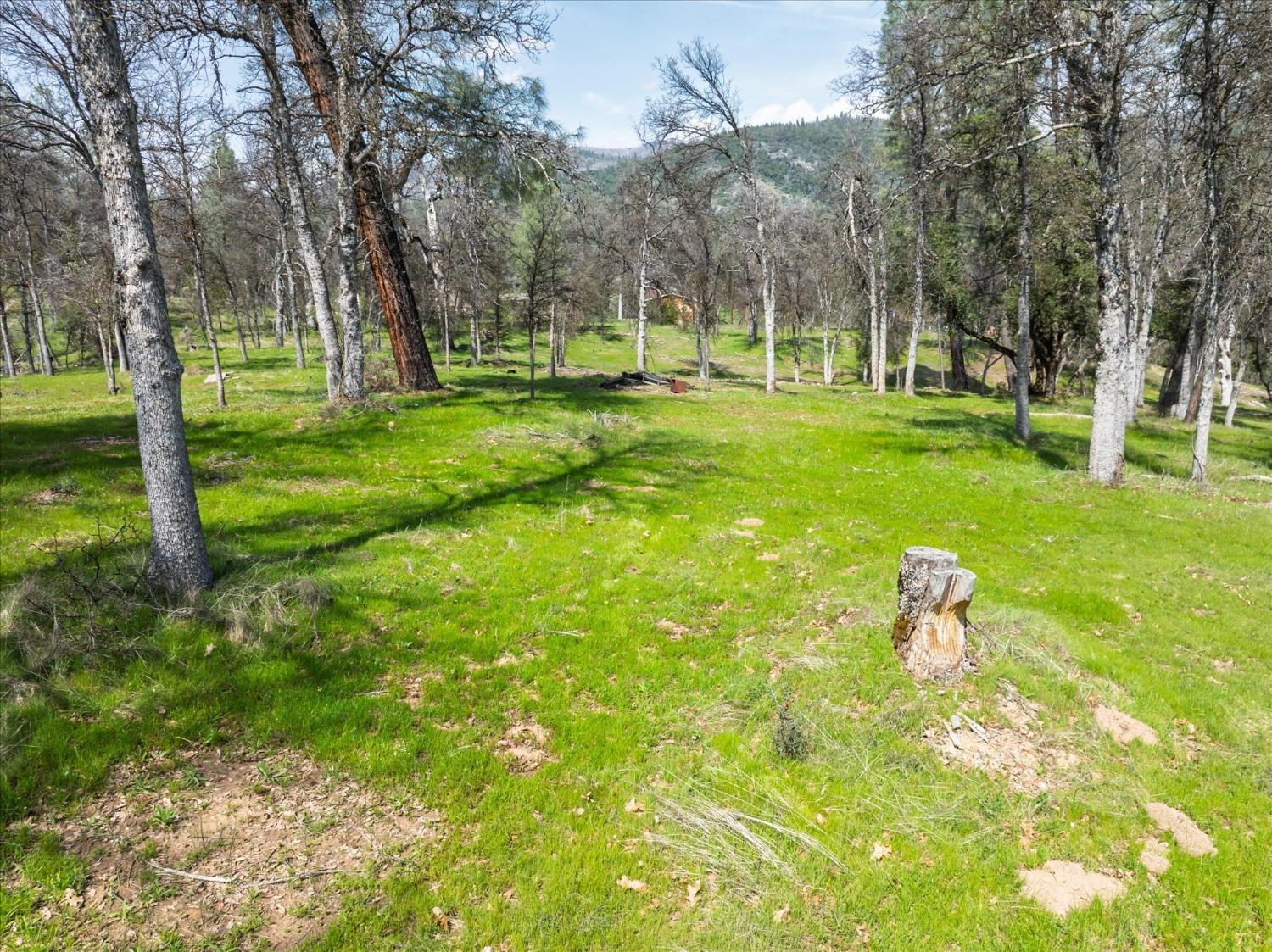 1 Springwood Ct, Oakhurst, CA 93644