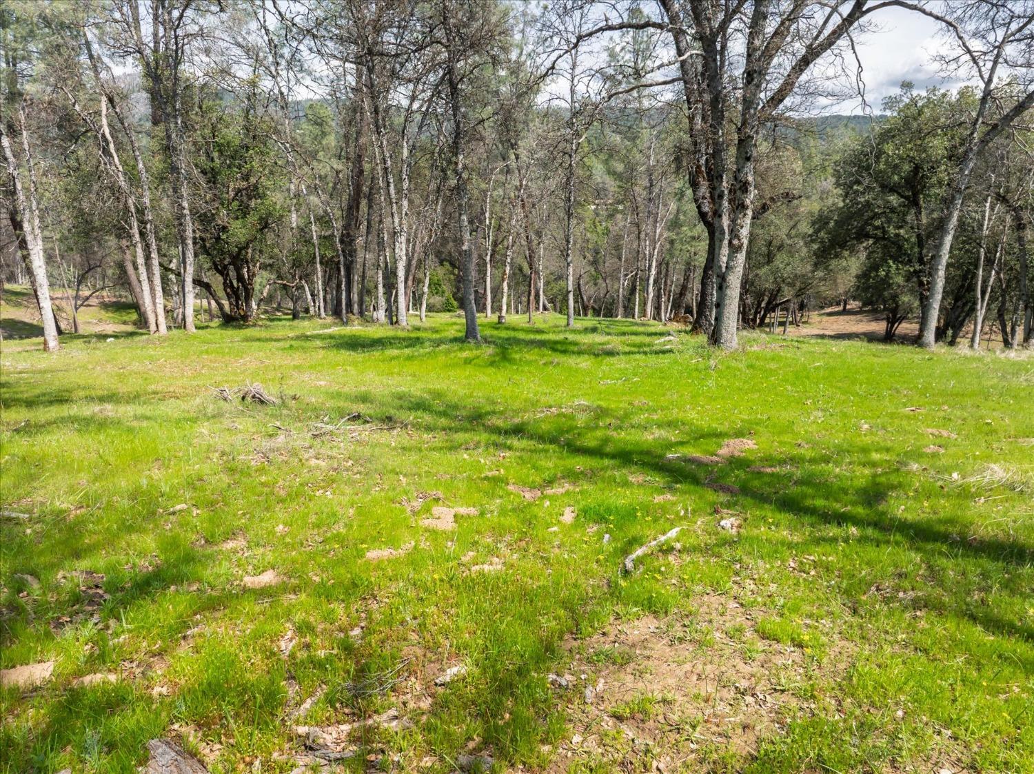 1 Springwood Ct, Oakhurst, CA 93644