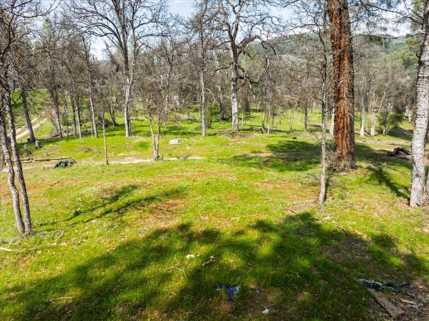 1 Springwood Ct, Oakhurst, CA 93644