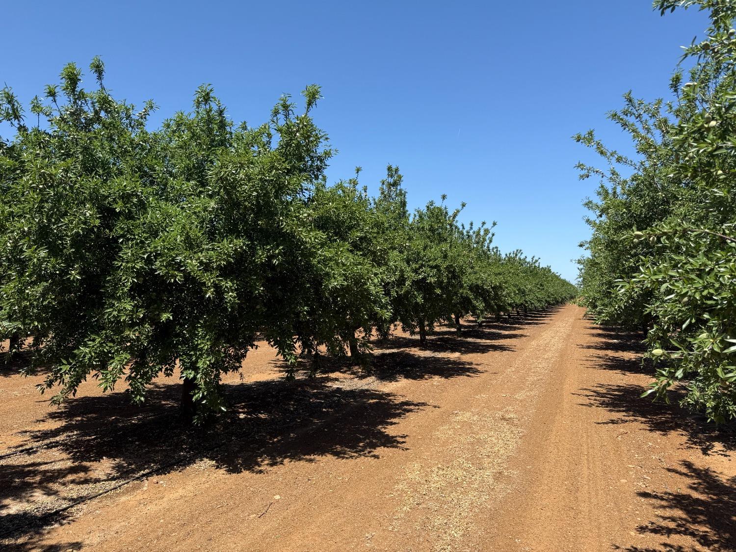 0 0 Little Panoche Rd, Firebaugh, CA 93622