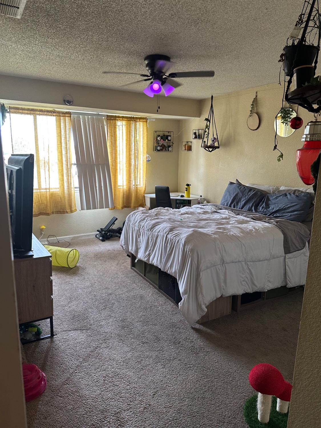 2280 Hurley Way #12, Out Of Area, CA 95825