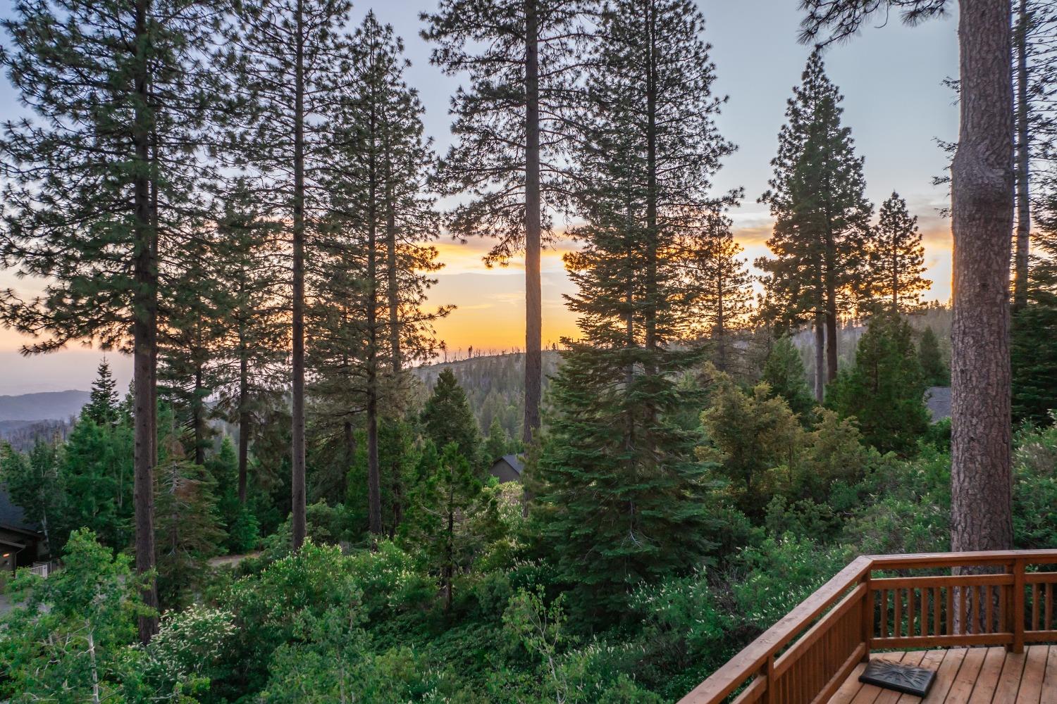 40780 Wild Iris Ln, Shaver Lake, CA 93664