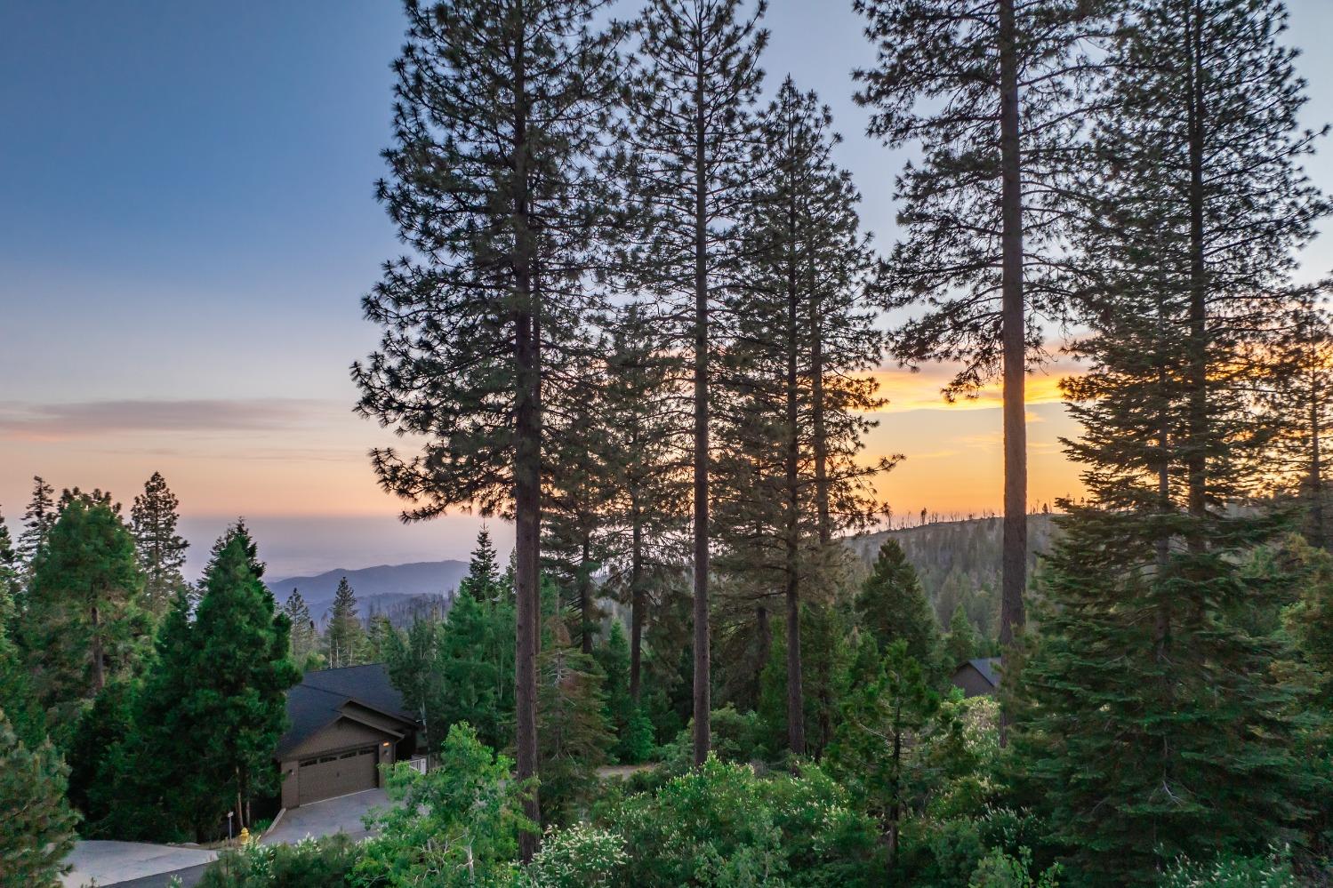 40780 Wild Iris Ln, Shaver Lake, CA 93664