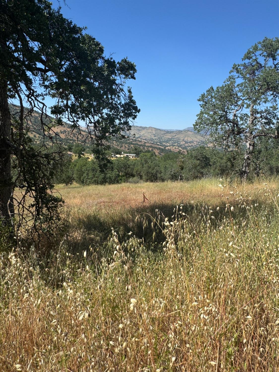 0 0 APN 153-290-03, Tollhouse, CA 93667