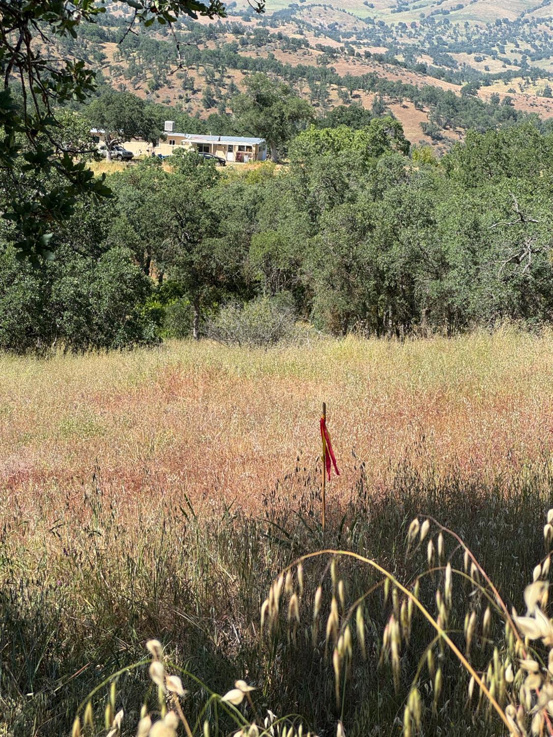 0 0 APN 153-290-03, Tollhouse, CA 93667