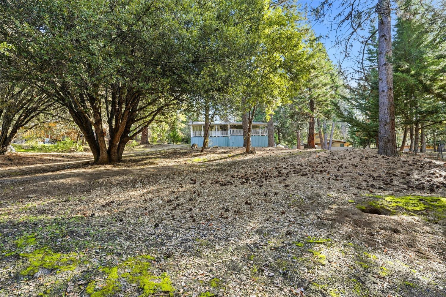 50740 Chu Ranch Rd, Oakhurst, CA 93644