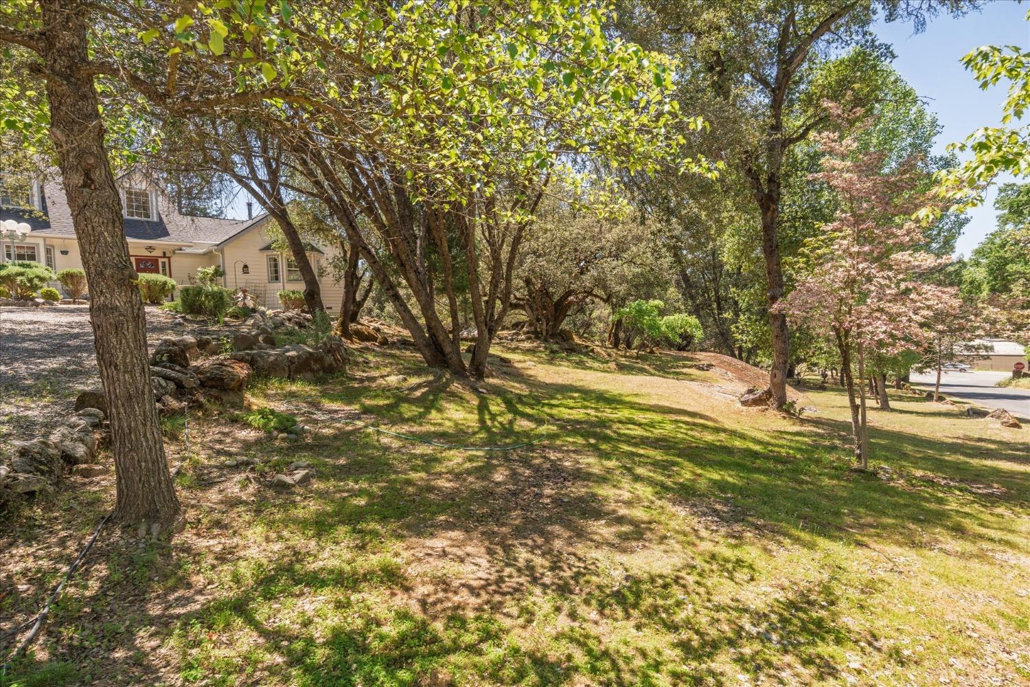 39976 Pierce Lake Dr, Oakhurst, CA 93644